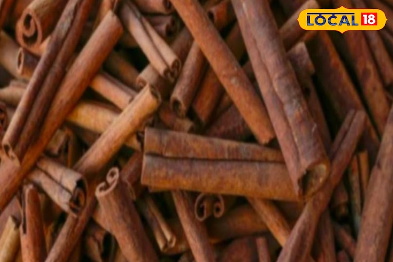 Moradabad news, hindi news, local news, up news, मुरादाबाद समाचार, हिंदी समाचार, लोकल समाचार, यूपी समाचार।