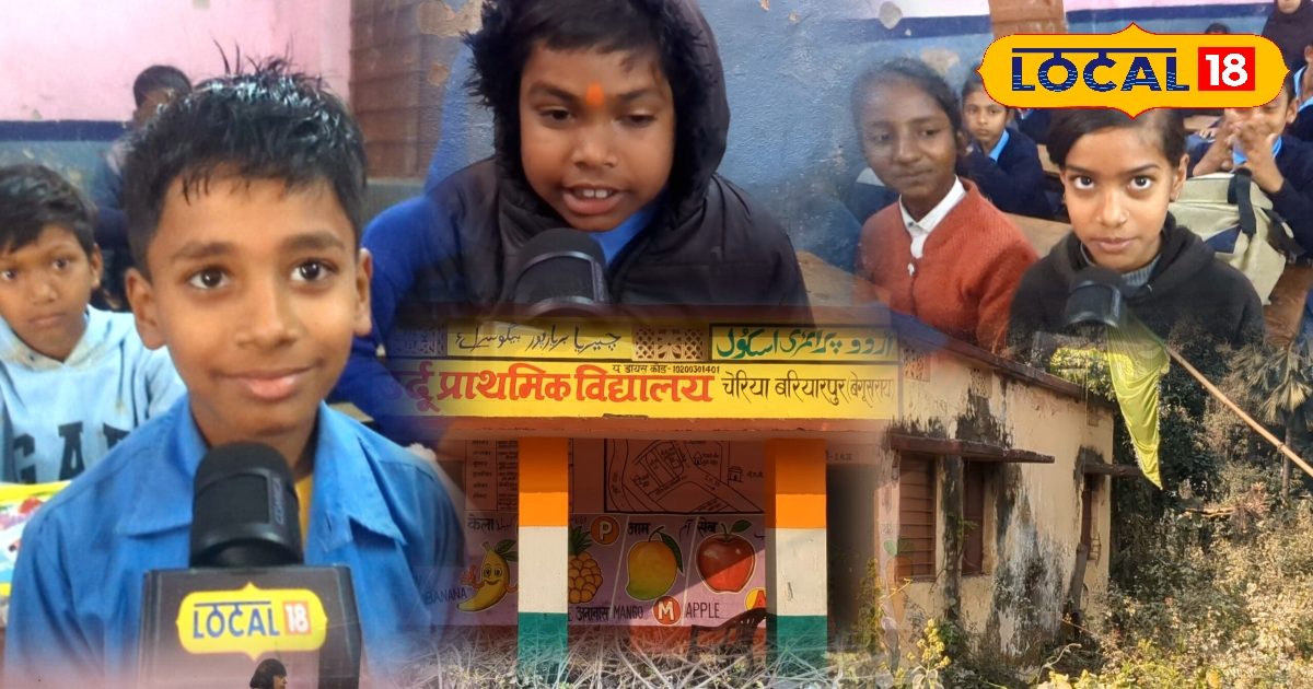 आपने देखा है सांपशाला? भ्रष्टाचार के बीच दब गई फाइल, बिहार का ऐसा स्कूल जहां पढ़ने के बाद भी बच्चों की जिंदगी बर्बाद