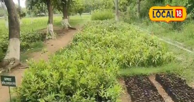 पलामू जिले के चियांकी स्थित क्षेत्रीय अनुसंधान केंद्र