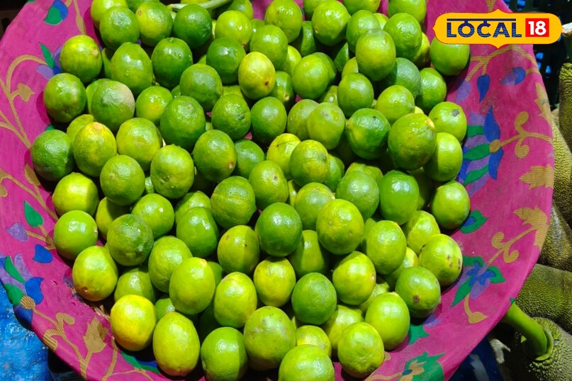 छिलके की बनावट छिलके की बनावट