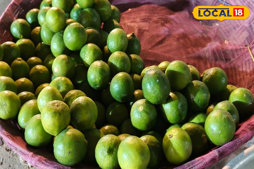 खुशबू पर करे फोकस खुशबू पर करे फोकस