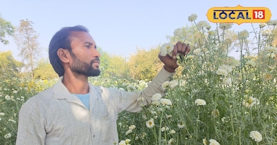 फूल की खेती