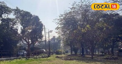 मार्च की शुरुआत में ही तपने लगा हरियाणा, मौसम ने बदला रुख.