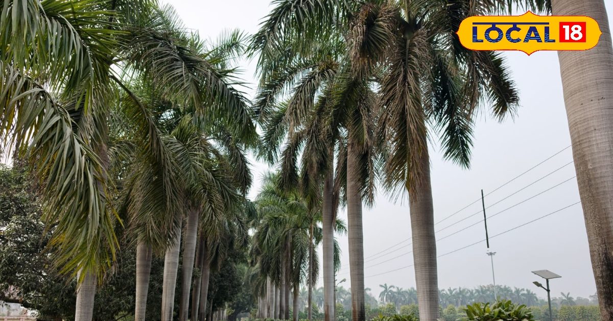 सेल्फी और पिकनिक के लिए परफेक्ट है मऊ का रोज गार्डन, यहां गुलाबों की खुशबू के साथ मिलेंगे खूबसूरत नजारे