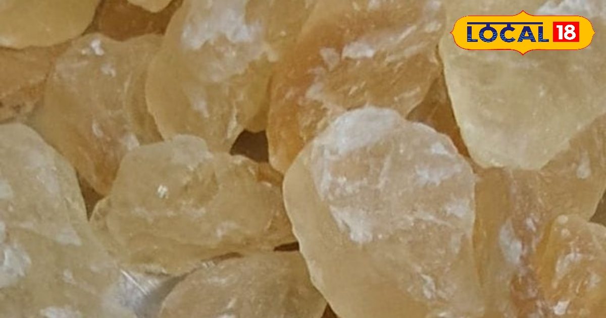 Summer Special: राजा-महाराजा भी गर्मी से बचते थे इन नुस्खों से, 5 स्टार AC फेल!