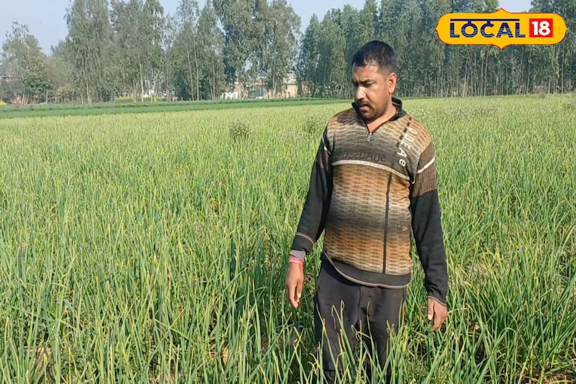 खेती किसानी