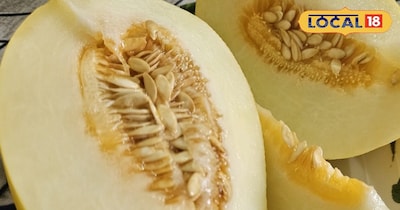 गर्मी में शरीर को ठंडक और ताजगी देने वाला मीठा फल है सर्दा.