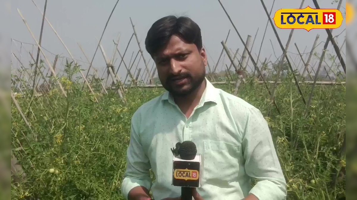 मिश्रित खेती से बदली शैल देवी की किस्मत, एक ही खेत में टमाटर-धनिया से लेकर दाल से छप्परफाड़ कमाई