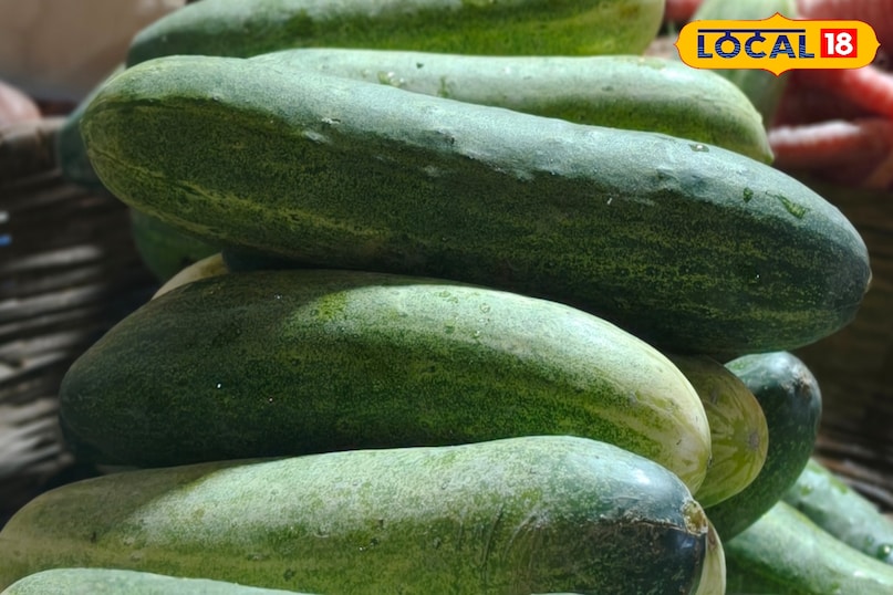 পাচনতন্ত্র সক্রিয় 