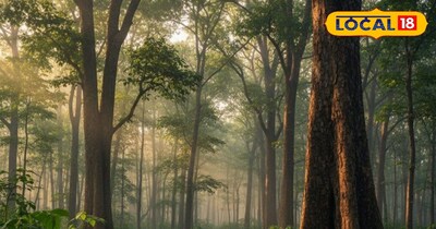 सांकेतिक फोटो.