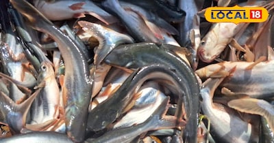 इस तकनीक से करें मछली पालन