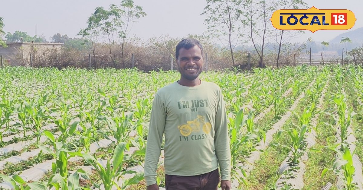 ड्रिप इरिगेशन से बदला गुमला के किसान का जीवन,10 एकड़ में खेती से कमा रहे लाखों