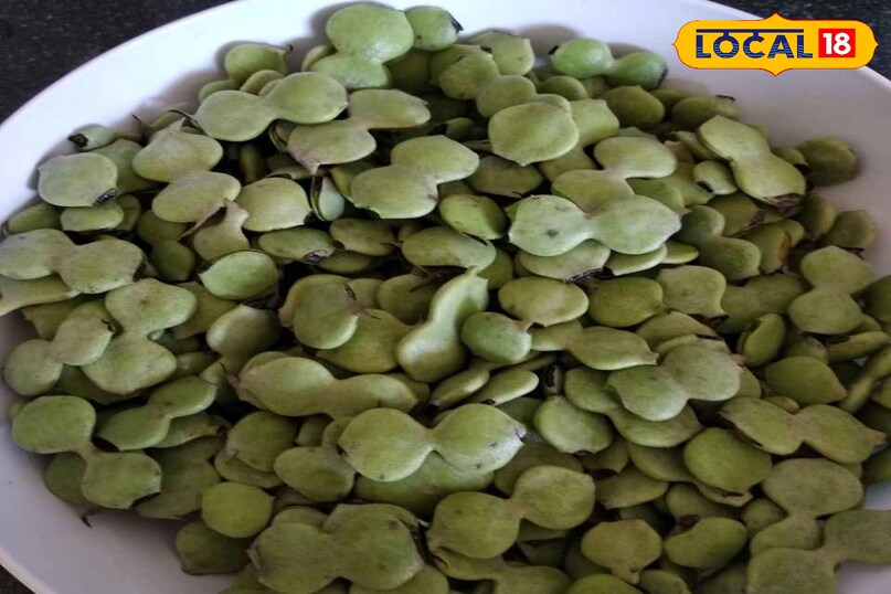 बबूल बबूल