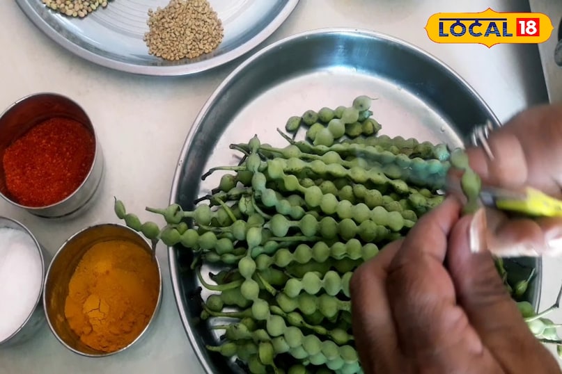 बबूल की फली बबूल की फली