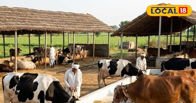 पशु पालक 