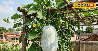 AI जेनरेटेड तस्वीर 