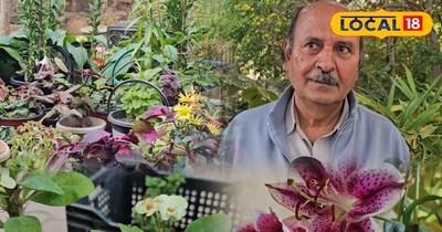 माँ सती दाक्षायणी वाटिका में लगी हरियाली की वाटिका,तापमान रहता है कम