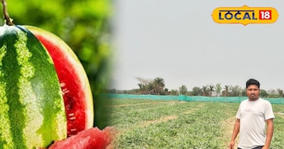 Two friends set an example by cultivating watermelons on 10 bighas of land, earn
