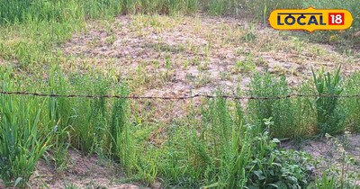 खेती से पहले मिट्टी की जांच कराएं, कम होगी लागत और बढ़ेगी पैदावार