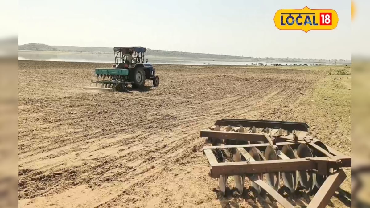 सिर्फ 2 महीने में बंपर कमाई! इस मिट्टी में उड़द की खेती बनी फायदे का सौदा, कम समय में मोटी