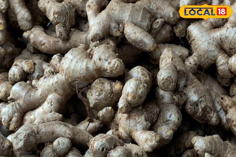 পাচনতন্ত্র 