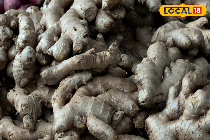 বমি বমি ভাব এবং বমি