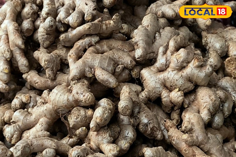 সর্দি এবং কাশি