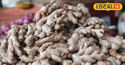 अदरक के औषधीय लाभ 