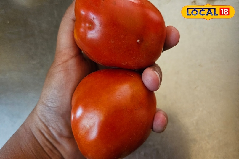 schzewan chutney recipe 