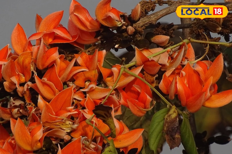 গ্রীষ্মে ঠান্ডা পান