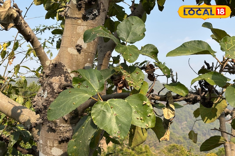 Be careful while using 