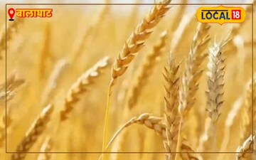 Wheat Harvest Fire Risk: Protect Your Crop! Expert Tips to Prevent Devastating Blazes