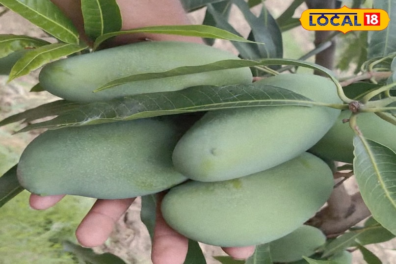 কাঁচা আম