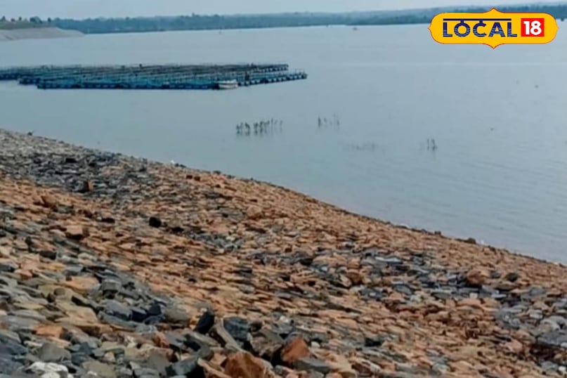 पुनाशी डैम प्राकृतिक सुंदरता लोगो को काफी पसंद आ रहा 