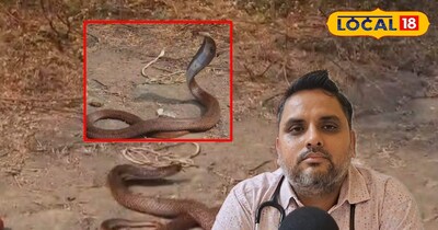 साँप काटे तो करें तुरंत यह काम!