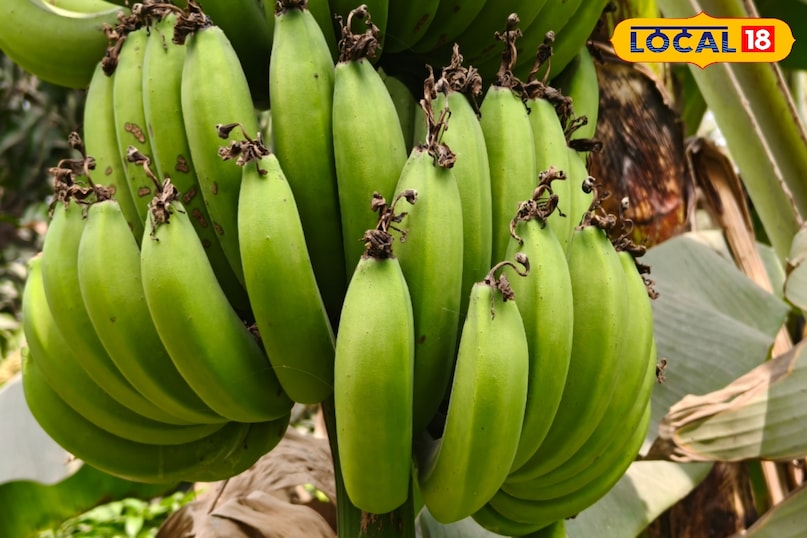 ডায়াবেটিস নিয়ন্ত্রণ