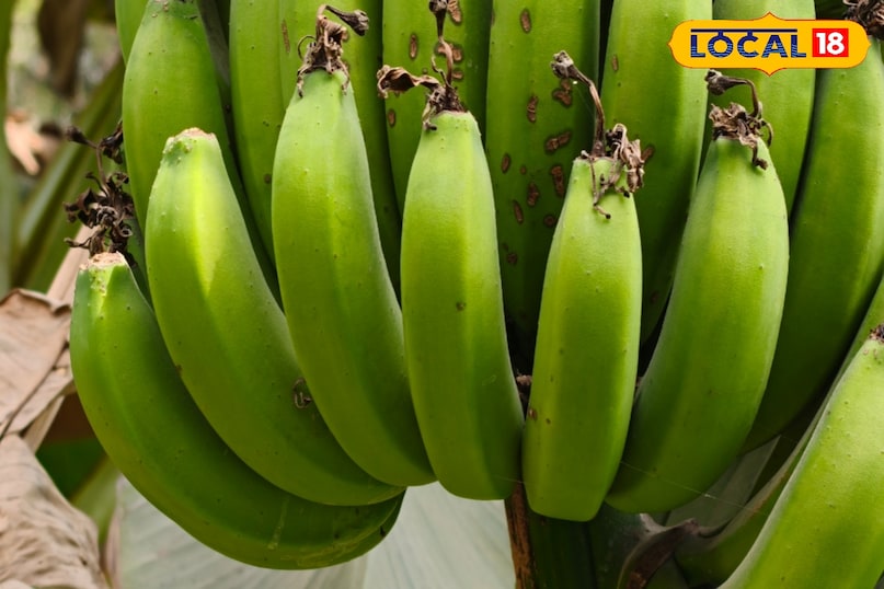 হৃদয় স্বাস্থ্য