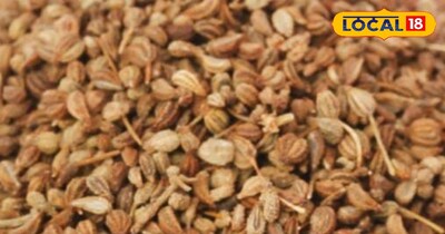 अजवाइन सेहत के लिए होती है नुकसानदायक।