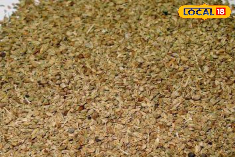 মোরাদাবাদের খবর, হিন্দি খবর, আপ নিউজ, স্থানীয় খবর, মোরাদাবাদের খবর, হিন্দি খবর, ইউপি খবর, স্থানীয় খবর।