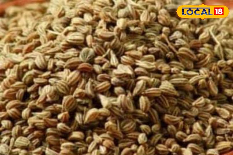 মোরাদাবাদের খবর, হিন্দি খবর, আপ নিউজ, স্থানীয় খবর, মোরাদাবাদের খবর, হিন্দি খবর, ইউপি খবর, স্থানীয় খবর।