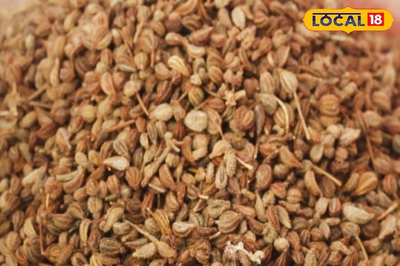 মোরাদাবাদের খবর, হিন্দি খবর, আপ নিউজ, স্থানীয় খবর, মোরাদাবাদের খবর, হিন্দি খবর, ইউপি খবর, স্থানীয় খবর।