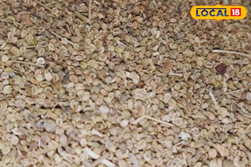 মোরাদাবাদের খবর, হিন্দি খবর, আপ নিউজ, স্থানীয় খবর, মোরাদাবাদের খবর, হিন্দি খবর, ইউপি খবর, স্থানীয় খবর।