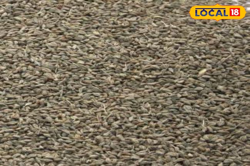 মোরাদাবাদের খবর, হিন্দি খবর, আপ নিউজ, স্থানীয় খবর, মোরাদাবাদের খবর, হিন্দি খবর, ইউপি খবর, স্থানীয় খবর।