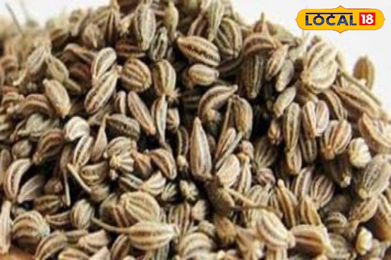 মোরাদাবাদের খবর, হিন্দি খবর, আপ নিউজ, স্থানীয় খবর, মোরাদাবাদের খবর, হিন্দি খবর, ইউপি খবর, স্থানীয় খবর।