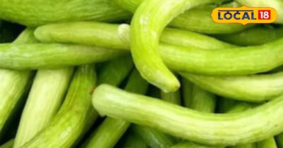 ककड़ी की खेती कर कमाएं मुनाफा।