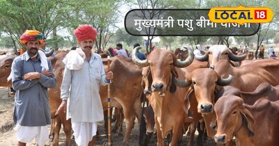 रानीवाड़ा मुख्यमंत्री पशु बीमा योजना लक्ष्य और लाभ