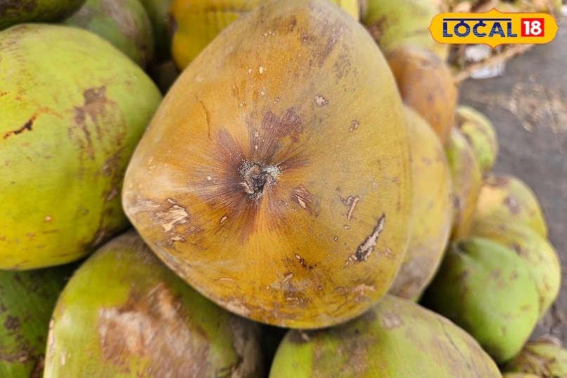 how to identify sweet coconut 