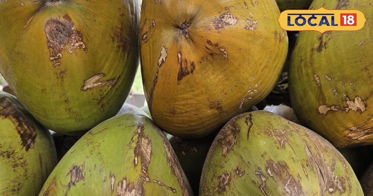 गर्मियों में खरीद रहे हैं नारियल? इन टिप्स से पहचाने अंदर पानी मीठा है या नहीं