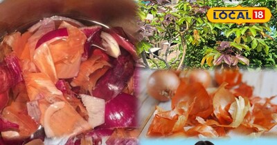 प्याज के छिलके