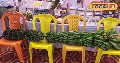 9 फीट लंबा है घउर 